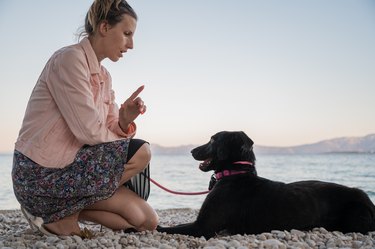 Young woman kneeling down to give cue to her black shepherd dog