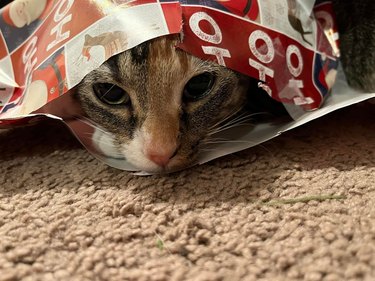 Cat hides in pile of Christmas wrapping paper and pokes their head out.