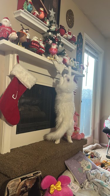 white cat pawing at Christmas tree above fireplace.