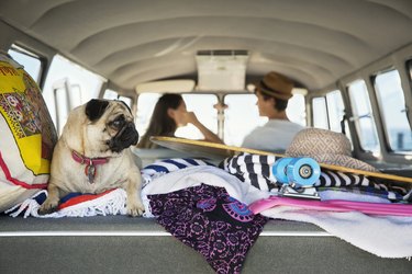 Group of friends with a surf van by the sea