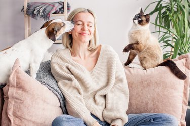 Happy woman on couch with dog licking her face with cat on other side of couch