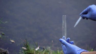 Ecologist taking water sample from forest lake, ecological research, experiment