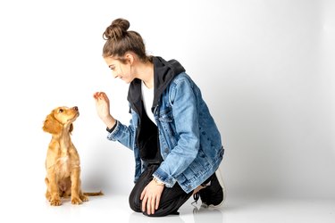 Young woman playing with a puppy.