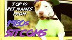 132 Pet Names From 1980s Sitcoms