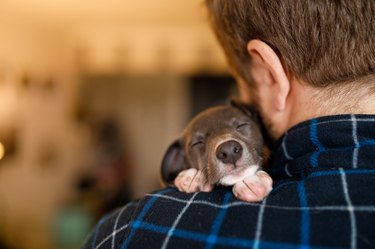 Man holding a sleep puppy on his shoulder