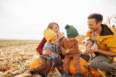 Family in a pumpkin patch