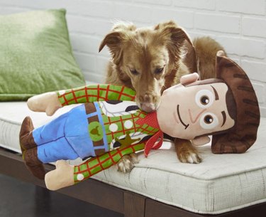 Pixar Woody Wagazoo Plush Squeaky Dog Toy