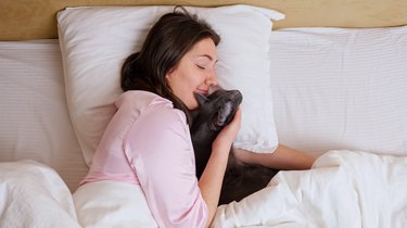 Relaxed woman in pale pink pajama pets sleepy cat in bed