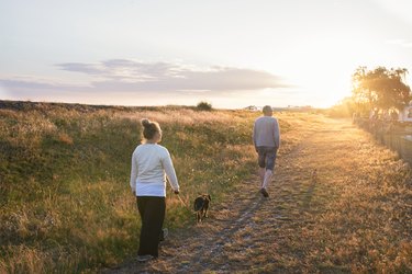 People walking dog at sunset