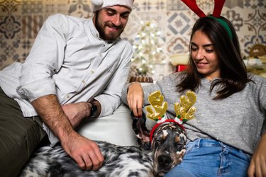 A couple enjoying Christmas with their dog